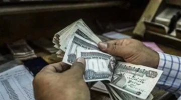 الأسر الأكثر احتياجًا.. موعد صرف معاشات شهر فبراير عبر وزارة التضامن الاجتماعي